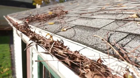 Heavily Blocked Residential Gutter in Cheadle SK8 Before Vacuum Extraction