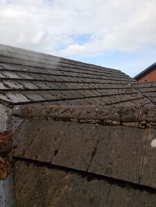 Bungalow — Moss Removal