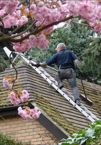 Bungalow Roof Cleaning Urmston
